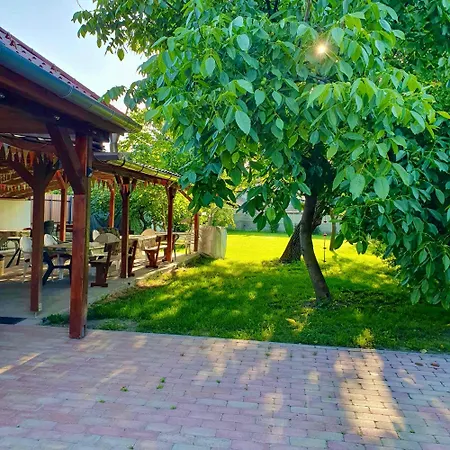 Apartment Arany13 Apartmanhaz - Mowimy Po Polsku! *